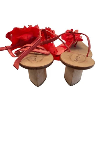 Don Ciccillo Cieccillo Red Flower Ankle Strap Sandals Sz 8